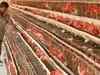 Poultry demand to reach 70% of pre-Covid level this quarter: industry