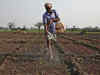 View: Empowering the Indian farmer