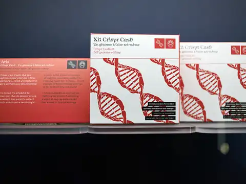 CRISPR