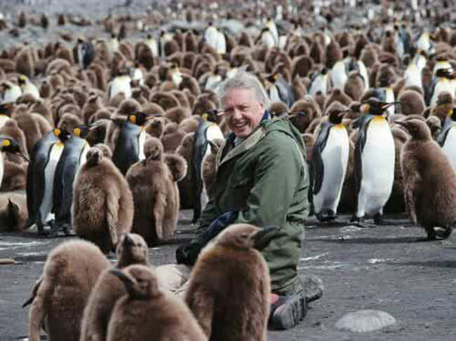 ​Sonia Gandhi​ described David Attenborough as the world's leading authority on the natural world​.