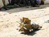 Pakistani troops shell two sectors along LoC in J-K's Poonch