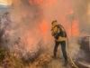 Donald Trump, Joe Biden focus their campaigns on U.S. West wildfires