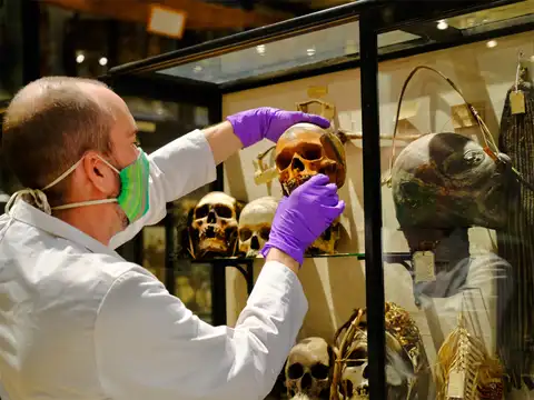 What the museum said
