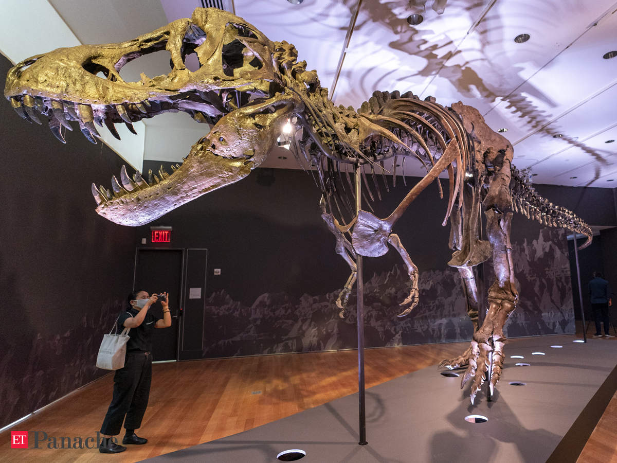 T-Rex skeleton: One of largest known T-rex skeleton up for auction at  Christie's, could rake in $8 mn - The Economic Times