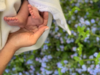 Nova IVF Fertility achieves 30,000 clinical pregnancies in India, says CEO