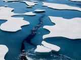 Arctic ice melt doesn't boost sea levels, so do we care?