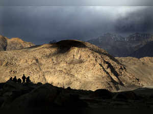 Ladakh black top