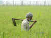 Record rice production likely to propel kharif output to a new high