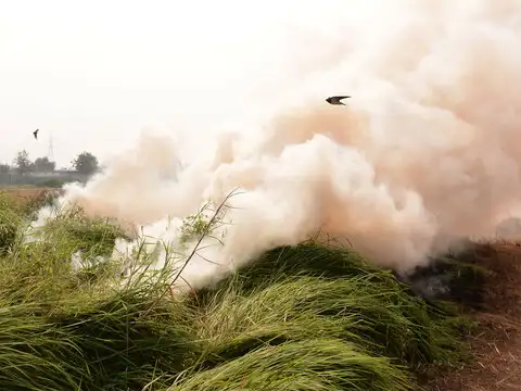 Crop fires begin
