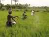 Agri Bills will help enhance farmers' earnings: Union minister