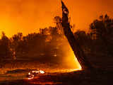 New California fire scorches wine country near San Francisco