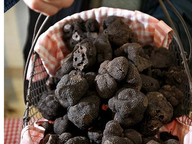 A basket of Perigord black truffles pictured at a French market. Prince Philip now has his own crop of the delicacies.