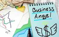 Angel funds need approval from all before investing