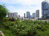 Govt pushes rooftop farms in space-starved Singapore to produce more food locally