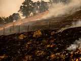 Hot, dry conditions stoke devastating California wildfires