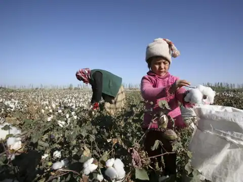Population of forced labour