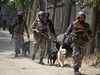 Indian Army dogs keep danger and stress at bay for soldiers in Jammu and Kashmir