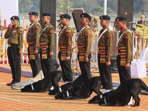 ​Gallantry medals