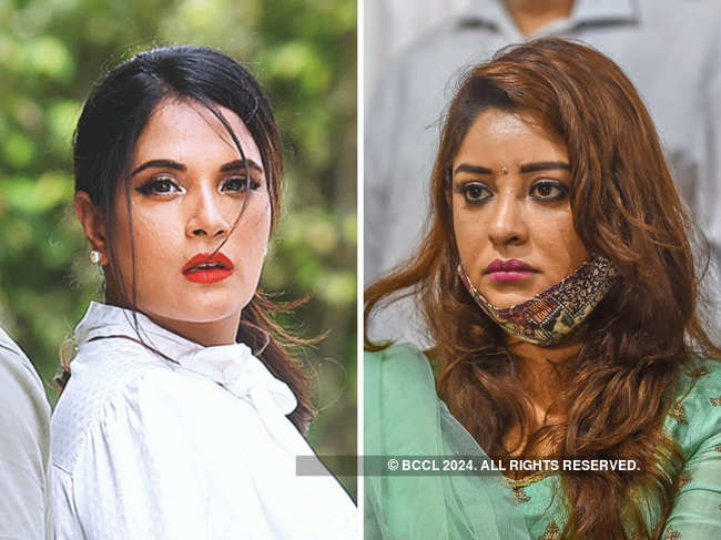 Richa ​Chadha is seeking interim and permanent relief against Payal Ghosh and others from publishing any allegedly defamatory content against her​.