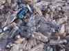 14 million tonnes of microplastics on sea floor: Australian study