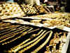All thanks to farmers: Gold jewellery demand picks up in rural India