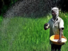 Expected hike in urea sales to raise subsidy bill