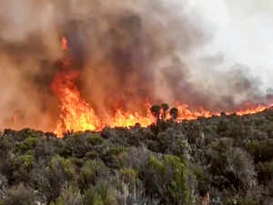 fires burn on Mount Kilimanjaro in Tanzania AP