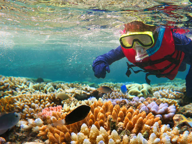 ​The southern part of Great Barrier Reef​ was also exposed to record-breaking temperatures in early 2020. ​
