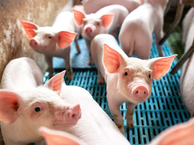 End of factory farming?