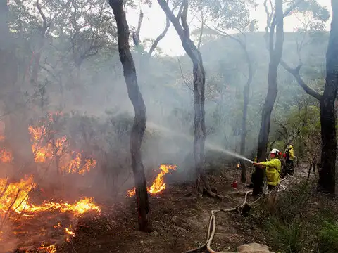 Bushfires