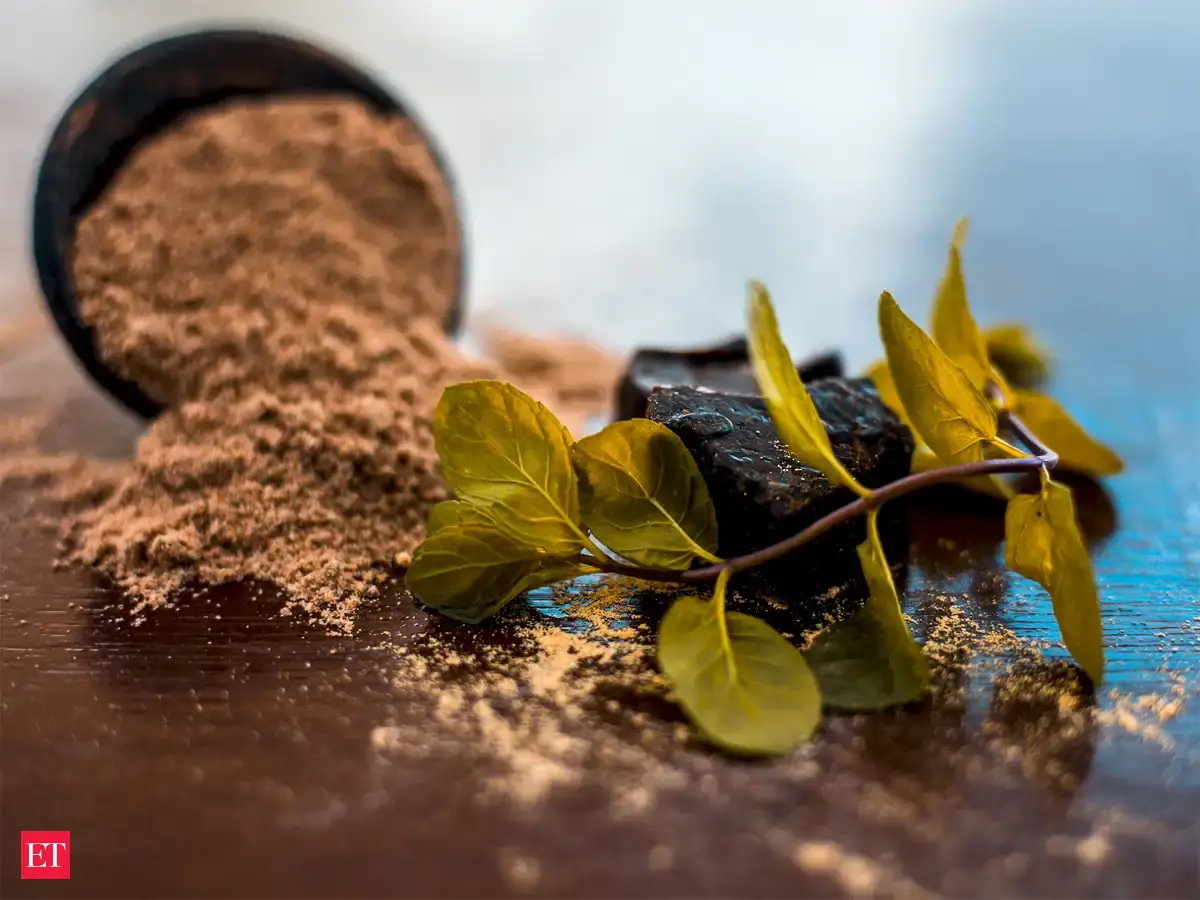 Historical shift - India starts cultivation of Hing which it imports in ...