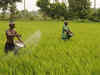 Urea consumption, imports and subsidy likely to rise this year
