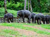 Kerala's capital to have world's largest elephant care & cure centre