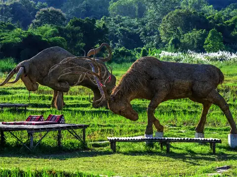 Thailand's economy survives on tourism industry which saw a huge downfall since Coronavirus pandemic occurred.