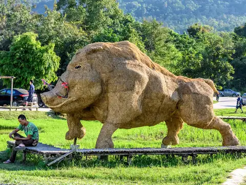 The park has life size rice straw sculptures of-- gorilla, elephant, wild boar, lion, deer among others.