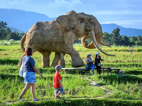 An initiative to attract tourists amid the pandemic