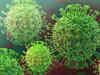 Pre-existing antibodies may protect some people against novel coronavirus, says study