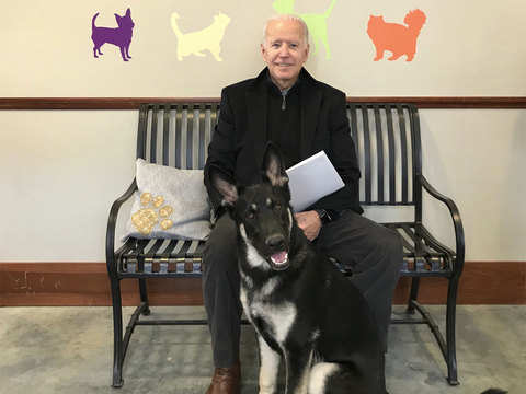 Joe Biden S Two German Shepherd Dogs Champ And Major To Roam In The White House Time Honored Tradition The Economic Times