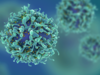 Study suggests T cells may be sufficient to protect from Covid-19