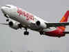 SpiceJet Q2 Results: Loss narrows to Rs 113 crore