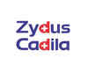 Zydus Cadila completes phase 2 clinical trial in COVID-19 patients with biological therapy PegiHep