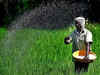 FM Nirmala Sitharaman announces Rs 65,000-cr fertilizer subsidy for farmers