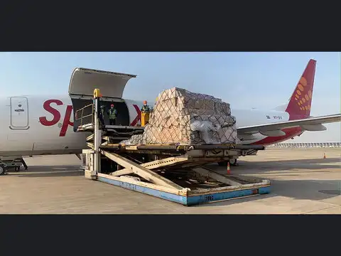 SpiceJet&rsquo;s immediate response