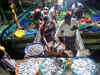 China halts imports of seafood products from Indian firm, says report