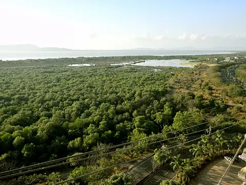 Ramsar Convention