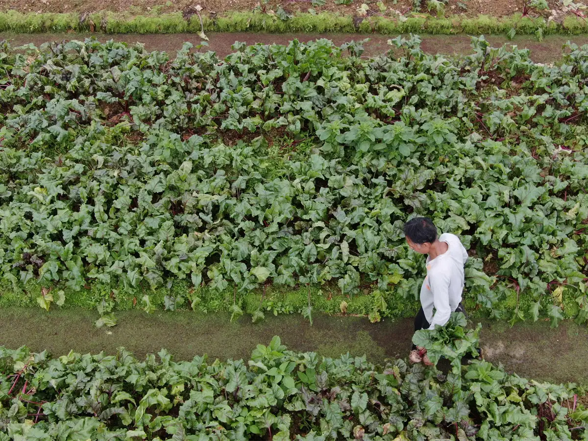 Tata Aig Bike Insurance Policy Number Tata Aig Car