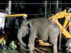 Watch: Baby elephant rescued from well in Tamil Nadu’s Dharmapuri