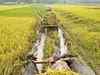 Govt okays subsidised loans worth Rs 3,971.31 cr for micro-irrigation projects