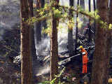 Firemen extinguish fire on the remains of a plane 