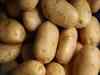 Potatoes could get costlier in Kolkata — price may hit nearly Rs 50/kg in retail markets
